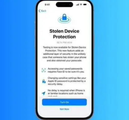 西藏苹果授权维修店分享被盗设备保护功能开启方法 