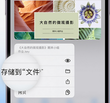 西藏apple维修中心分享iPhone文件应用中存储和找到下载文件