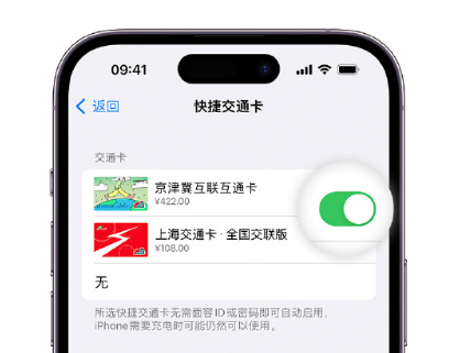 西藏apple维修点分享iPhone上更换Apple Pay快捷交通卡手绘卡面 