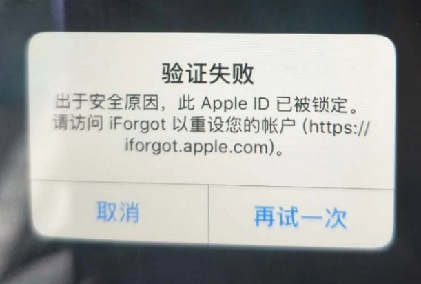 西藏iPhone维修分享iPhone上正常登录或使用AppleID怎么办 