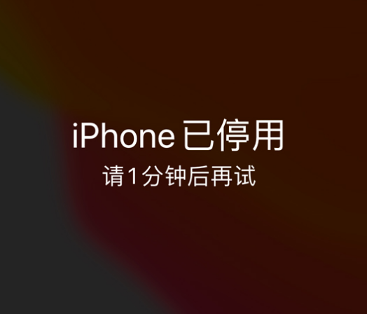 西藏苹果手机维修分享:iPhone 显示“不可用”或“已停用”怎么办？还能保留数据吗？ 