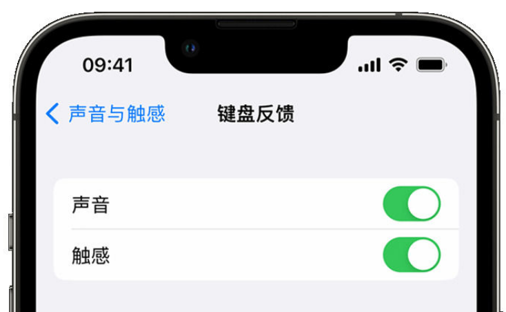 西藏苹果手机维修分享iPhone 14触感键盘使用方法 