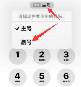 西藏苹果14维修店分享iPhone 14 Pro Max使用副卡打电话的方法 