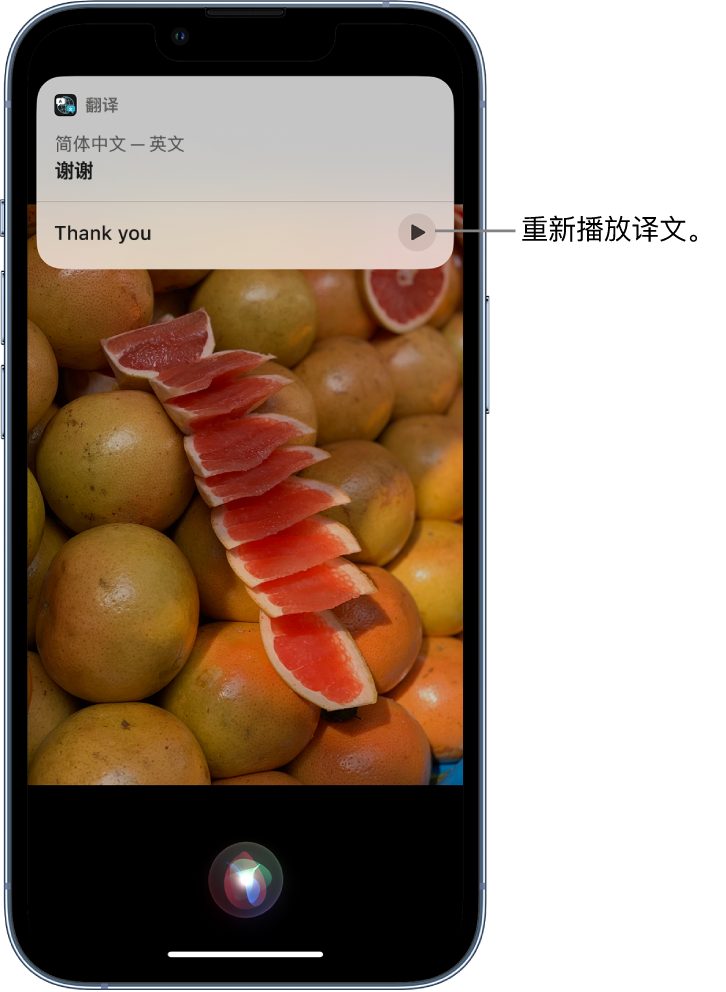 西藏苹果14维修分享 iPhone 14 机型中使用 Siri：了解 Siri 能帮你做什么 