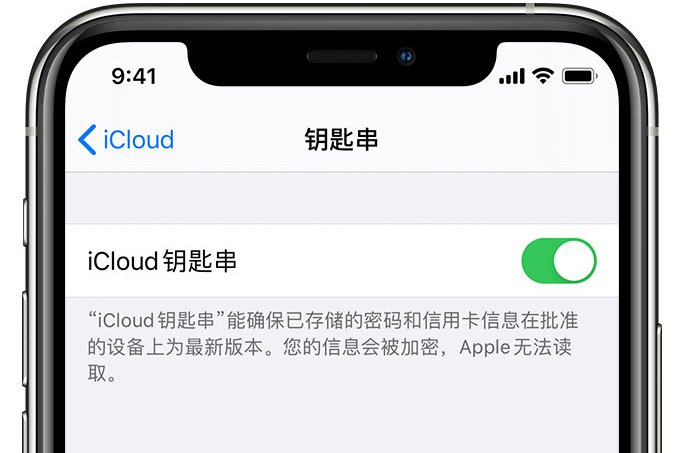 西藏苹果手机维修分享在 iPhone 上开启 iCloud 钥匙串之后会储存哪些信息 