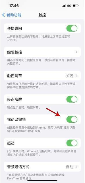 西藏苹果手机维修分享iPhone手机如何设置摇一摇删除文字 